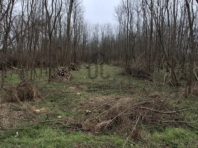 Eladó telek Hajdúsámson, Sámsonkert 5421 nm