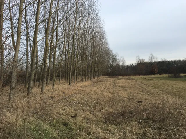 Eladó mezőgazdasági ingatlan Téglás 1188 nm