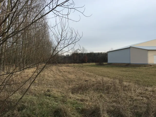 Eladó mezőgazdasági ingatlan Téglás 1188 nm