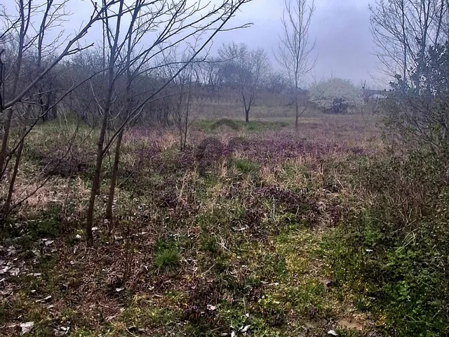 Eladó ház Hajdúsámson 60 nm