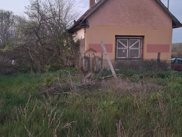 Eladó mezőgazdasági ingatlan Hajdúsámson 6031 nm