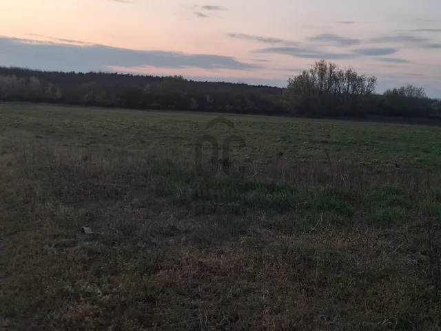 Eladó mezőgazdasági ingatlan Hajdúsámson 6031 nm