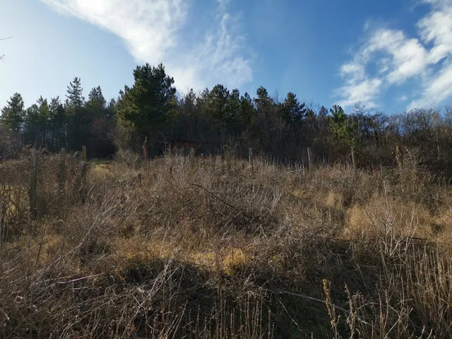 Eladó telek Velence 1203 nm