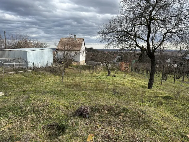 Eladó üdülő és hétvégi ház Pákozd 23 nm