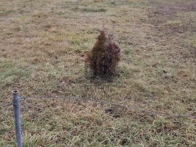 Eladó telek Székesfehérvár, Maroshegy 722 nm