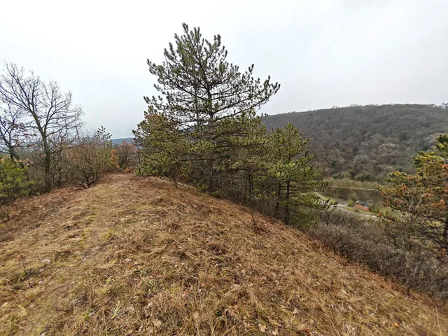 Eladó telek Kincsesbánya 6728 nm