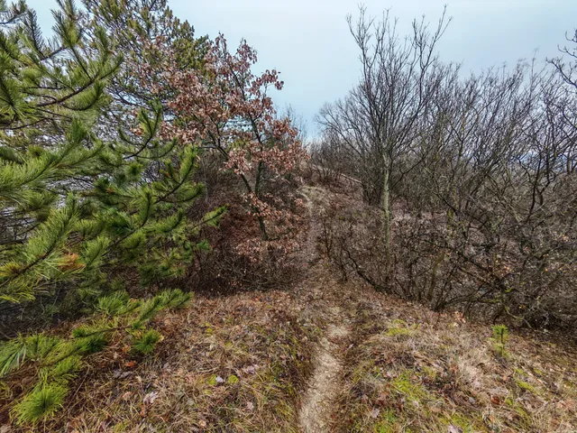 Eladó telek Kincsesbánya 6728 nm