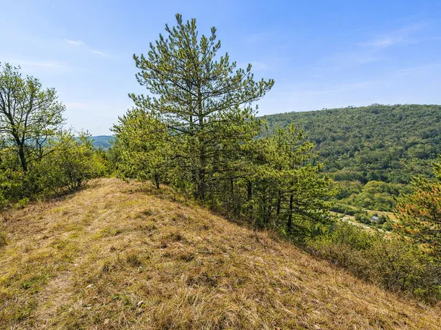Eladó telek Kincsesbánya 6728 nm