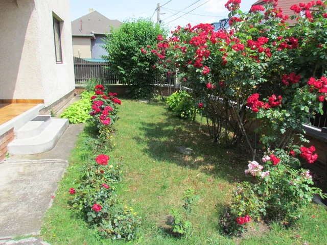 Eladó ház Miskolc, Bulgárföld 132 nm