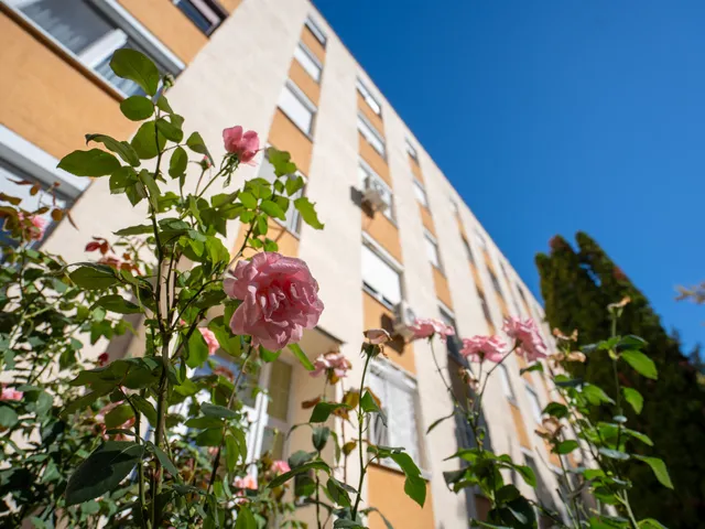 Eladó lakás Miskolc, Dél-Kilián 61 nm