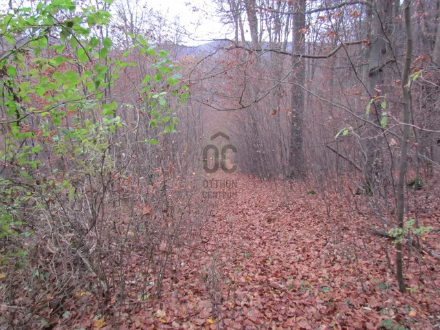 Eladó telek Bükkszentkereszt 608 nm