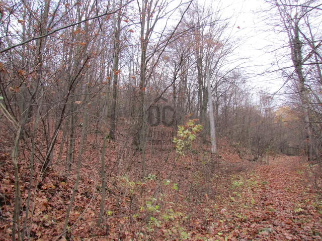 Eladó telek Bükkszentkereszt 600 nm