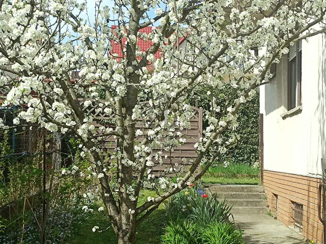 Eladó ház Miskolc 145 nm