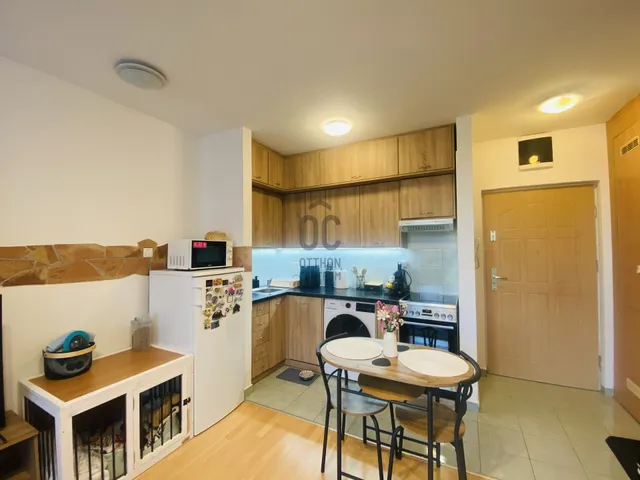 Kiadó lakás Miskolc, Belváros 40 nm