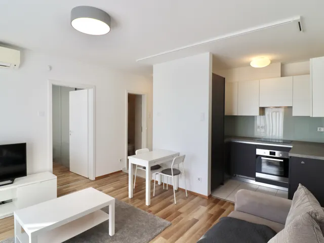Kiadó lakás Budapest IX. kerület, Középső Ferencváros 40 nm