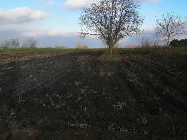 Eladó telek Jászkarajenő 1439 nm