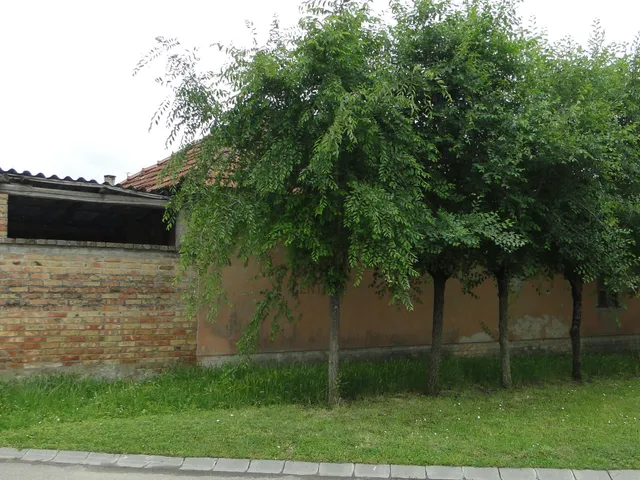 Eladó ház Nagykőrös 130 nm