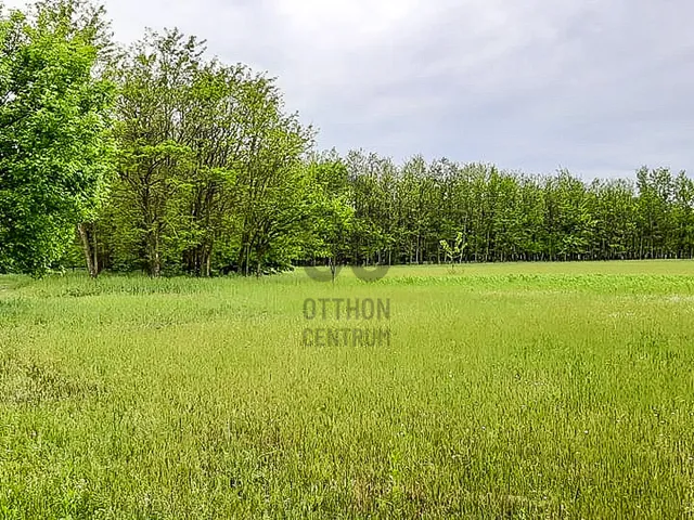 Eladó mezőgazdasági ingatlan Nagykőrös 20072 nm