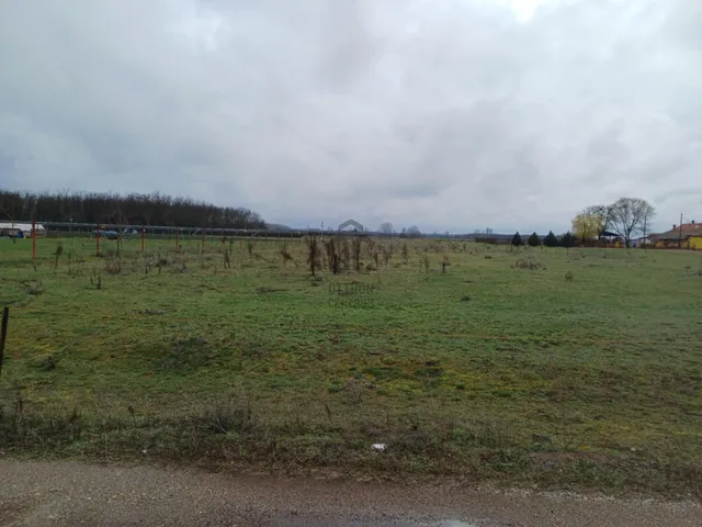 Eladó mezőgazdasági ingatlan Cegléd 7800 nm