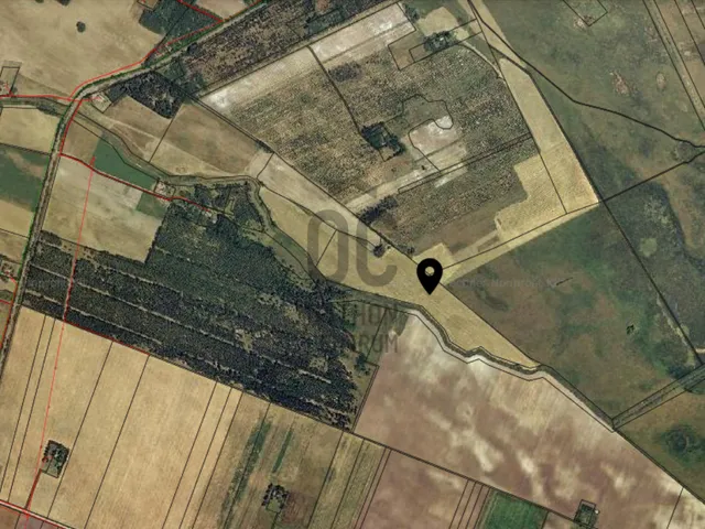 Eladó mezőgazdasági ingatlan Kocsér 77541 nm