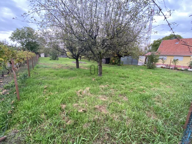 Eladó telek Tápiószőlős 800 nm