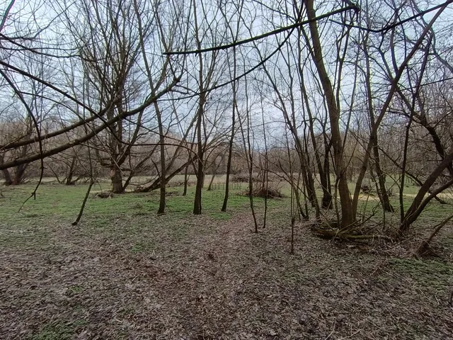 Eladó ház Csemő 140 nm