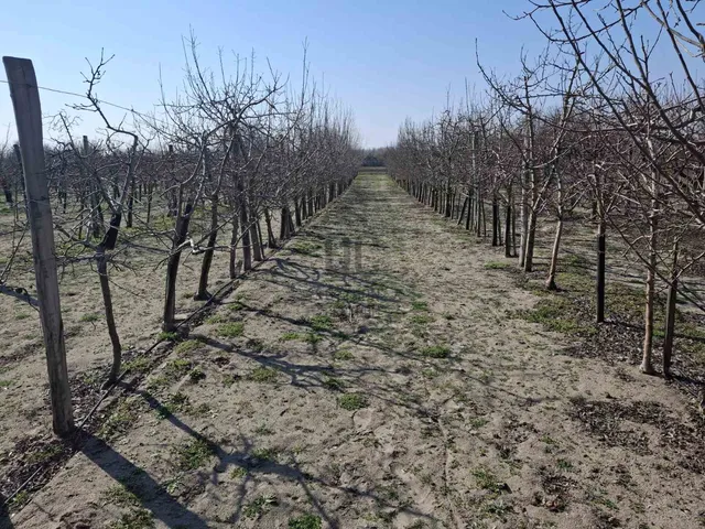 Eladó telek Cegléd 564 nm