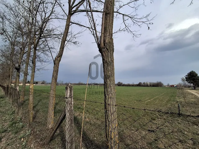 Eladó mezőgazdasági ingatlan Cegléd 22356 nm