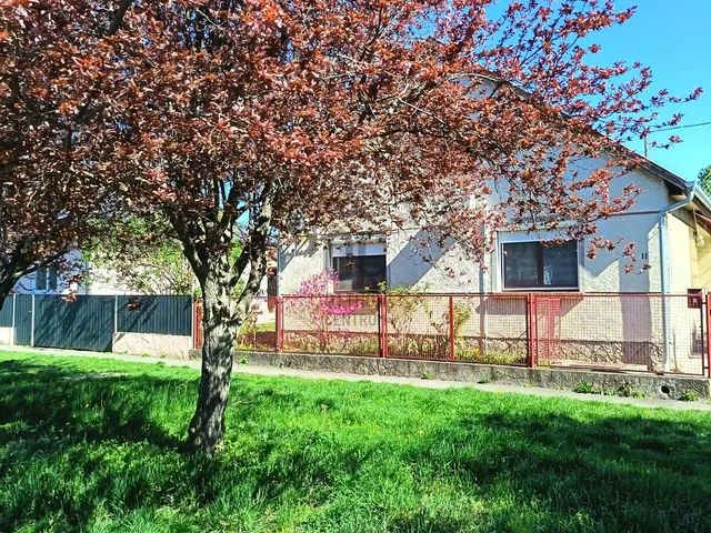 Eladó ház Gomba 70 nm