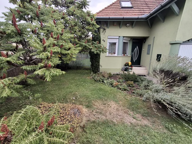 Eladó ház Cegléd 91 nm