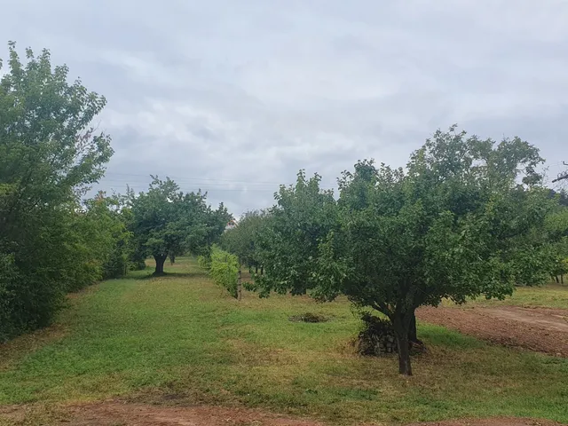 Eladó telek Szentkirályszabadja 4309 nm