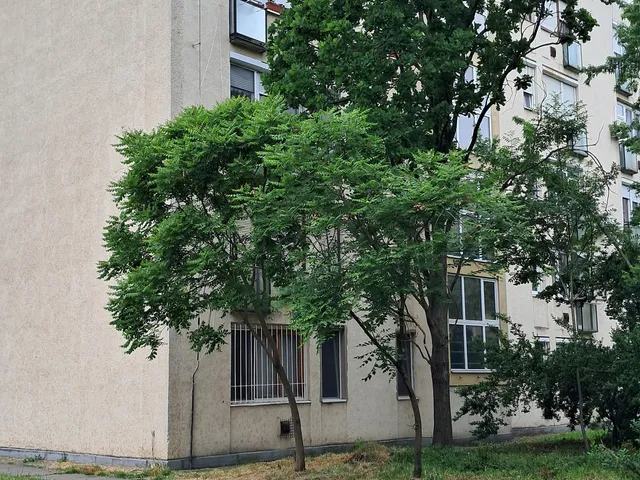 Eladó lakás Szolnok, Tallinn 42 nm