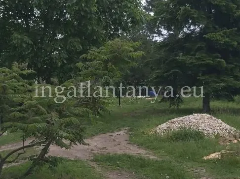 Eladó telek Budapest XXIII. kerület 400 nm