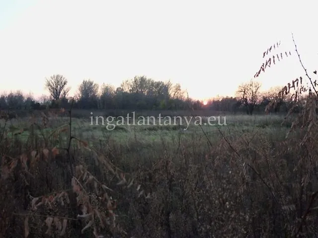 Eladó telek Budapest XXIII. kerület 2000 nm