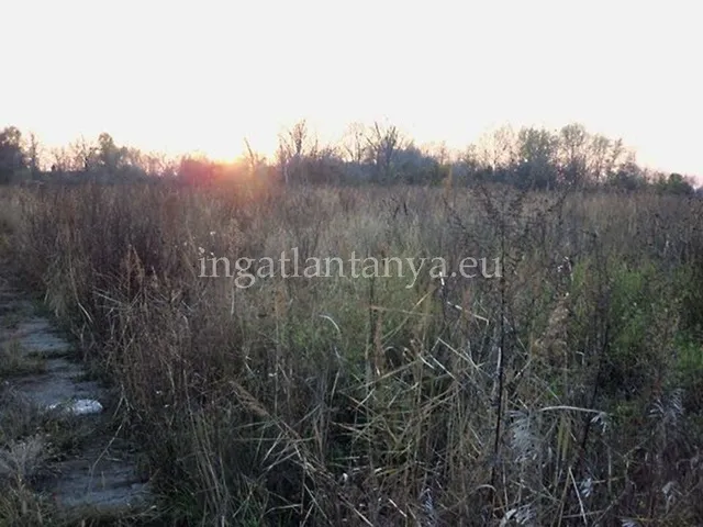 Eladó telek Budapest XXIII. kerület 3400 nm