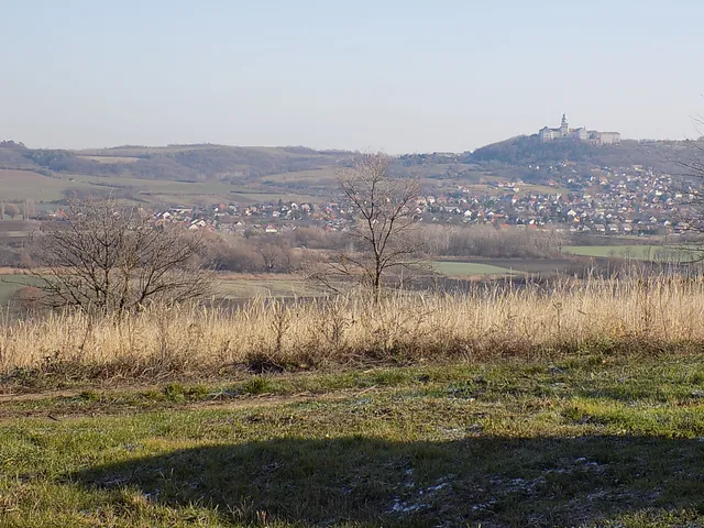 Eladó telek Écs, Berény utca 7500 nm