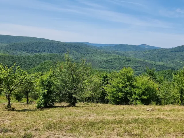 Eladó telek Vágáshuta 1800 nm