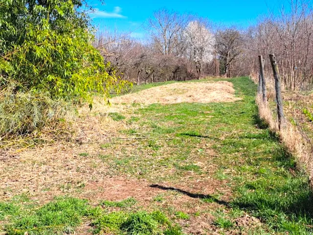 Eladó mezőgazdasági ingatlan Nagyrécse, Tölgyes 20 nm