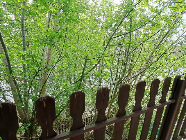 Eladó ház Gárdony 280 nm