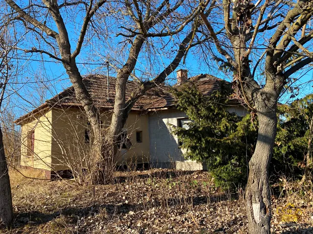Eladó mezőgazdasági ingatlan Lajosmizse 100 nm