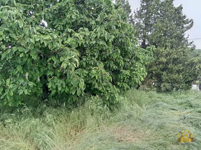 Eladó telek Szigetszentmiklós 971 nm