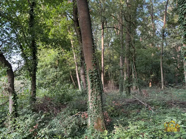 Eladó telek Kiskunlacháza 553 nm