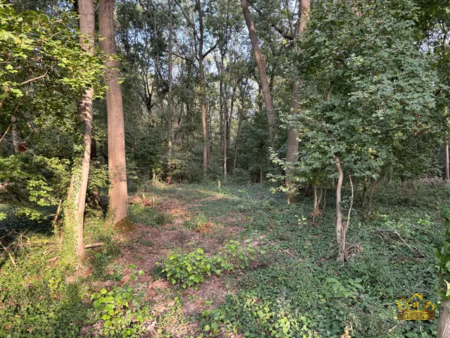 Eladó telek Kiskunlacháza 4457 nm