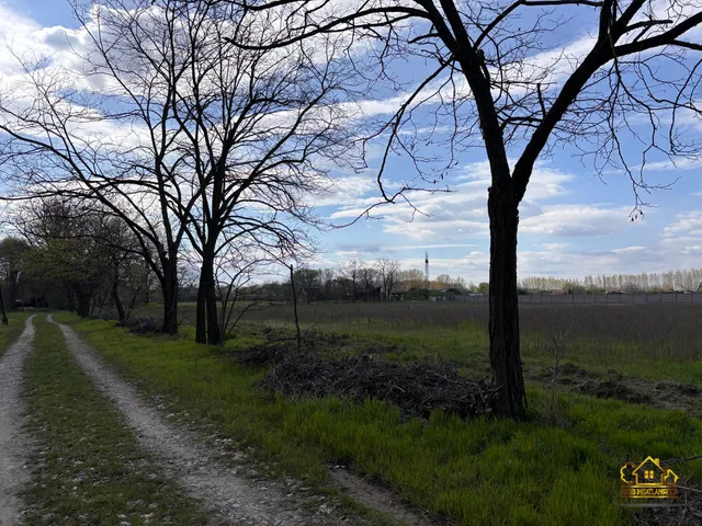 Eladó mezőgazdasági ingatlan Bugyi 21151 nm