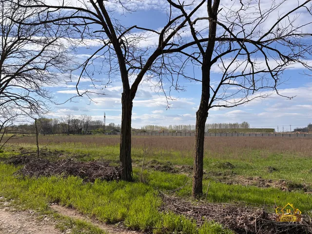 Eladó mezőgazdasági ingatlan Bugyi 21151 nm