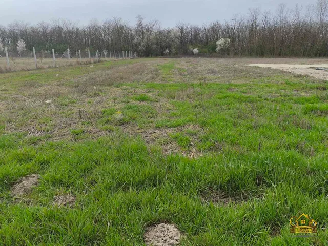 Eladó telek Szigetcsép 1236 nm