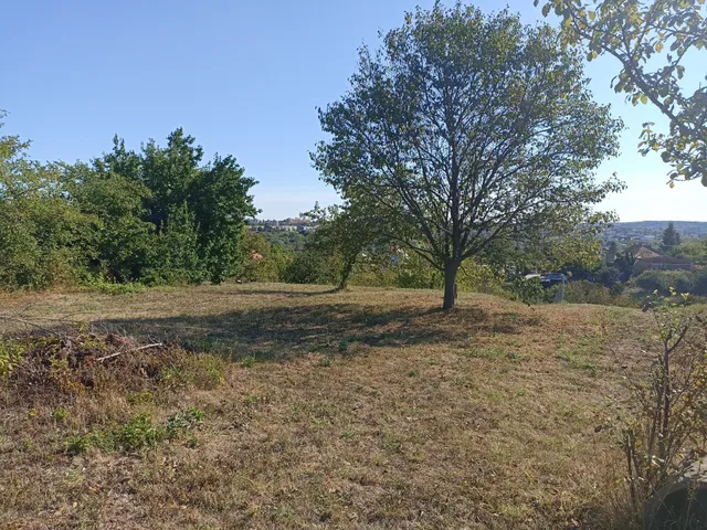 Eladó telek Kaposvár, Kecelhegy 3665 nm