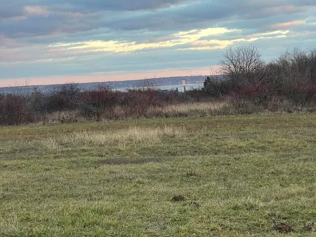 Eladó mezőgazdasági ingatlan Balatonkenese 7733 nm