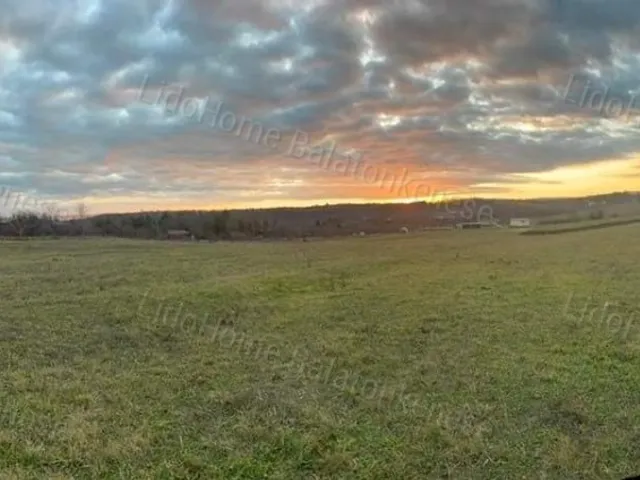 Eladó mezőgazdasági ingatlan Balatonkenese 7733 nm