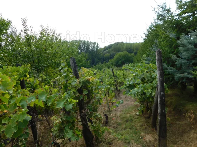 Eladó mezőgazdasági ingatlan Dombóvár 30 nm